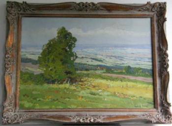 Strom v krajině - Ludva Dobeš Strom v krajině - Ludva Dobeš