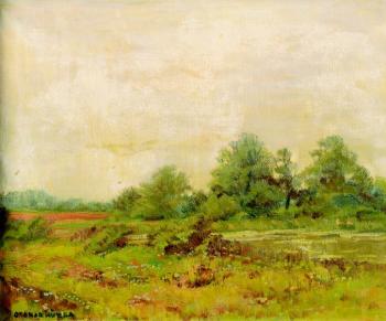 Stromy u rybníčku Stromy u rybníčku