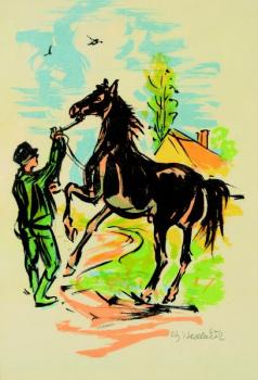 Muž krotící koně Muž krotící koně