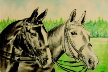 Dvě koňské hlavy Dvě koňské hlavy
