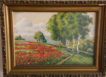 Vlčí máky Vlčí máky