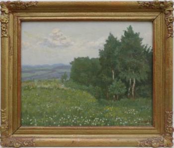 Krepčík Jaroslav - Kvetoucí louka u remízku Krepčík Jaroslav - Kvetoucí louka u remízku