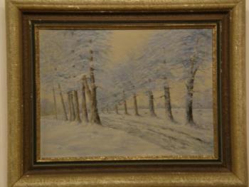 Zasněžená cesta Zasněžená cesta