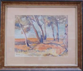 Stromy u moře -  Jaroslav Krátký Stromy u moře -  Jaroslav Krátký