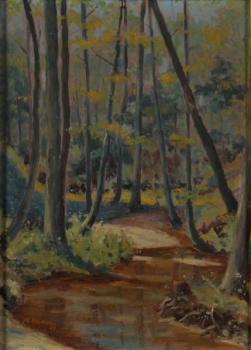 Němec, Bohumil: Potok v lese Němec, Bohumil: Potok v lese